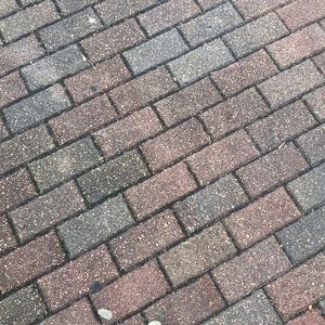 Meet your Posher, Torrey